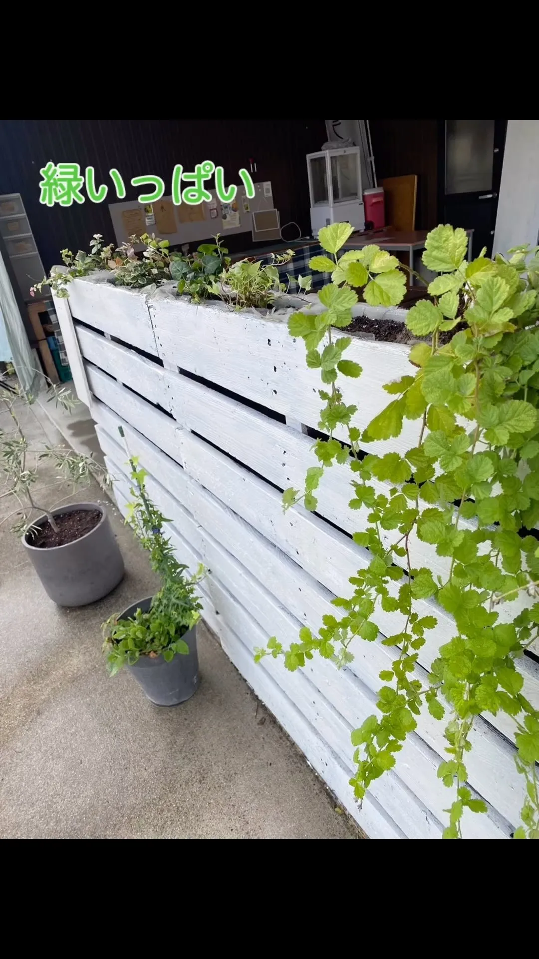 彦根の居酒屋